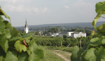 Weingut-Schloss-Reinhartshausen5 in Schlosshotel und Weingut: Schloss Reinhartshausen