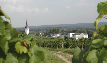 Weingut-Schloss-Reinhartshausen5 in 