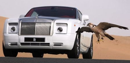 Rolls Royce Shaheen Phantom Coupe 2 in Rolls-Royce Shaheen Phantom Coupé: Der Rolls im Falken-Design