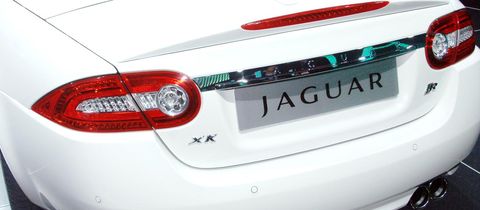 Jaguar in 